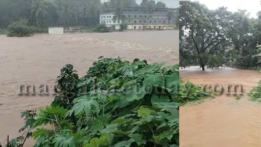 Main news Heavy Rain Batters Dakshina Kannada; Nethravathi River Water Level Rises